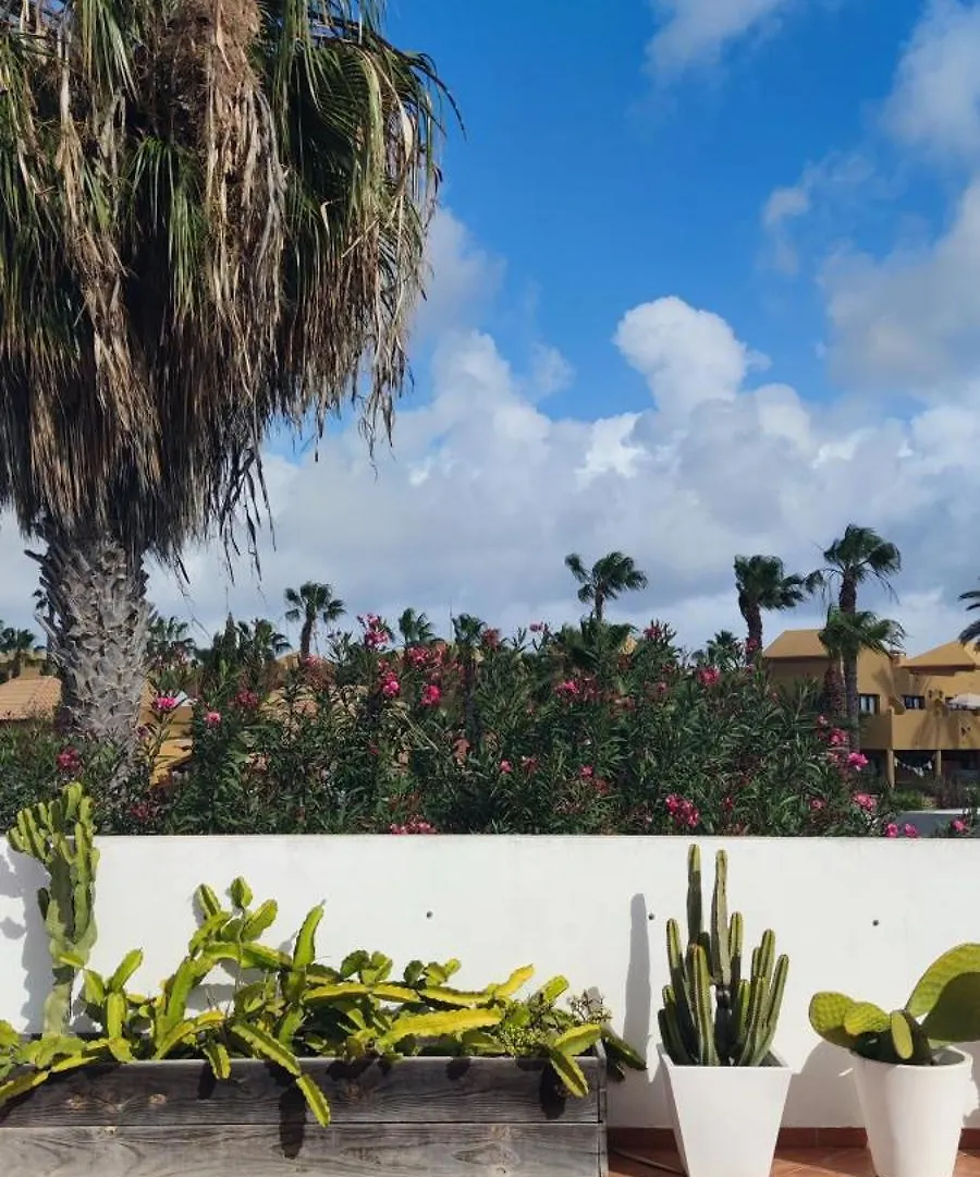 Willa Casa Lena Americas Corralejo Hiszpania